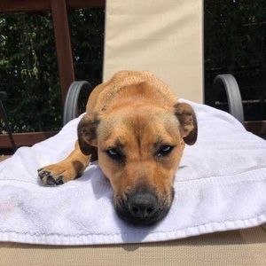 Meet your Posher, Carol